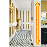 Ростомір дитячий (містить китайські ієрогліфи, фото 4), фото 3