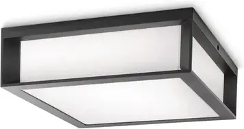 Настінний садовий світильник Philips Ecomoods Outdoor Plafon LED Skies 17184/93/16