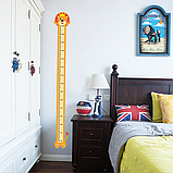 Ростомір дитячий (містить китайські ієрогліфи, фото 4), фото 2