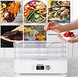 Дегідратор побутовий для сушіння овочів, сушіння для фруктів та ягід 450 Вт Maltec Сушарка для грибів, фото 6