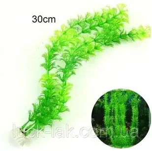 Водорості для акваріума 30 см, штучна рослинність