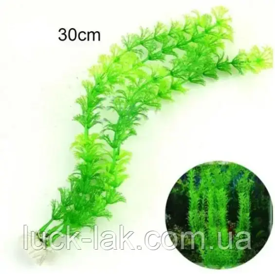 Водоросли для аквариума 30 см, искусственная растительность (ID ...