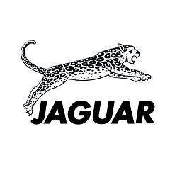 Професійні вирівнювачі Jaguar
