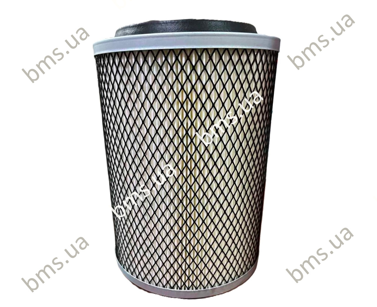 Фільтр повітряний BMS Worker N1 Sigma на компресор