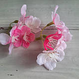 Яблуня ніжно-рожева суцвіття на 4 квітки, фото 2