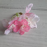 Яблуня ніжно-рожева суцвіття на 4 квітки, фото 3