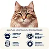 Home Food - сухий корм для дорослих кастрованих котів і стерилізованих кішок (з кроликом і журавлина) 10кг, фото 4