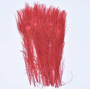 Перо павича Red 25-30 см 1 шт.