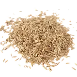 Тонконіг (мятлік) луговий Балін / Balin DLF Trifolium (ДАНІЯ) 25 кг, фото 5