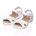 Сандалії жіночі шкіряні Tellus 25-07W Білі, фото 7