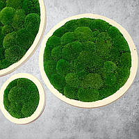 Набір з 3 круглих панно з кочкового стабілізованого моху