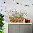 Ящик для квітів кімнатний/вуличний FLODBJОRK IKEA 805.607.28, фото 5