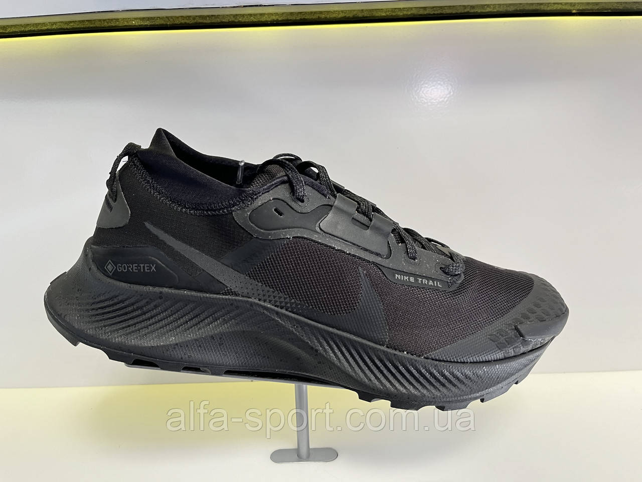 Кросівки Nike Pegasus Trail 3 GTX (DC8793-001)