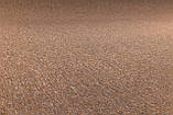 Ковролін Timzo Torpedo 4916 коричневий - ширина 4 метри, фото 6