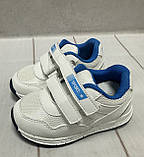 Дитячі шкіряні кросівки Weestep на липучці 23-25 білі, фото 5