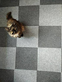 Самоклеюча плитка під ковролін темно-сіра 300х300х4мм SW-00001420 AL 732