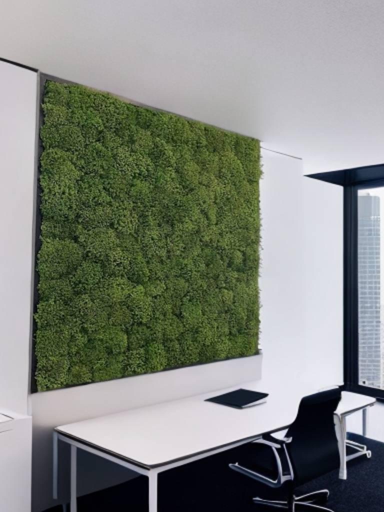 Картина з стабілізованого моху ягеля