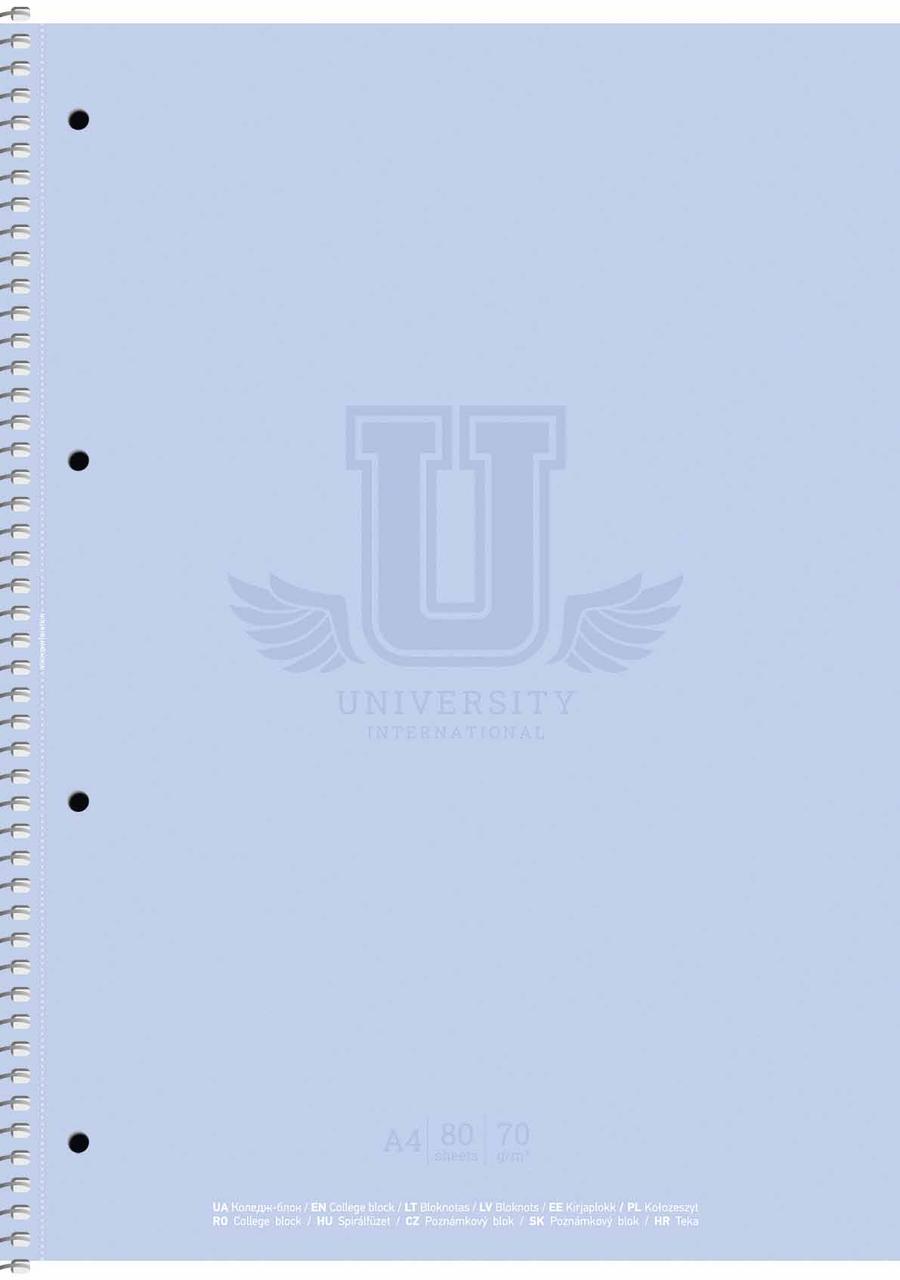 Коледж-блок А4 80арк. кліт. "Student" мат. лам. NoA4-080-6524K/Школярик/(4)(40), фото 1