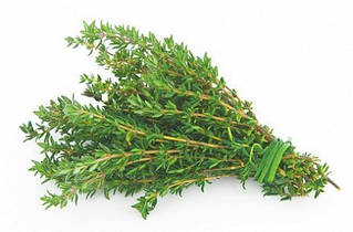 Чебрець тимьян свіжий 1 кг