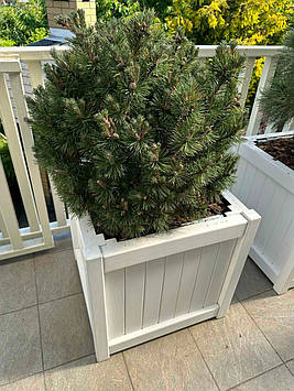 Дерев'яне кашпо для квітів та дерев біле 500х500х500 мм 125 л.