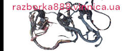 Джгут проведки системи запалювання 21144-3724026-00 Лада Самара 2 Е-Газ Автоваз б у