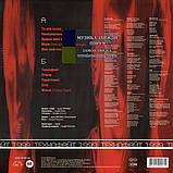 Вінілова платівка СКРЯБІН Технофайт 1999 (1999 / 2024) Vinyl (LP Record), фото 2