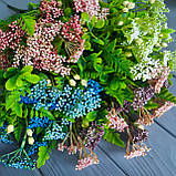 Кущ зелений з рожево-бузковими ягодами (кус 7 гілок), фото 3