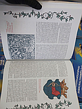 Книга Золота доба українського лицарства. Борис Черкас. (тверда), фото 5