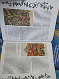 Книга Золота доба українського лицарства. Борис Черкас. (тверда), фото 6