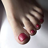 Матовий топ для лаку Nika Zemlyanikina, 10 мл, фото 2