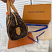 Елегантна жіноча сумка Louis Vuitton Nano Speedy Monogram, фото 4