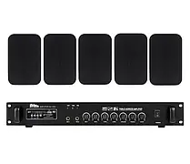 Акустичний комплект Sky Sound WS-2405 Black