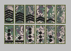 Погони Нацгвардії (тк. Хижак)