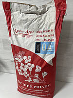 Ріпак озимий Ламбер 305 днів, Врожайність 35-40 ц/га. Стрес – 9 балів. Насіння озимого ріпаку Ламбер. "Арт-Агро", фото 2