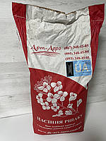 Ріпак озимий Ламбер 305 днів, Врожайність 35-40 ц/га. Стрес – 9 балів. Насіння озимого ріпаку Ламбер. "Арт-Агро", фото 10