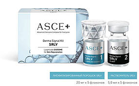 ASCE+ Derma Signal Kit SRLV екзосоми для обличчя, 2 флакона -  20 мг + 5 мл (АСЦЕ+ Дерма Сігнал)