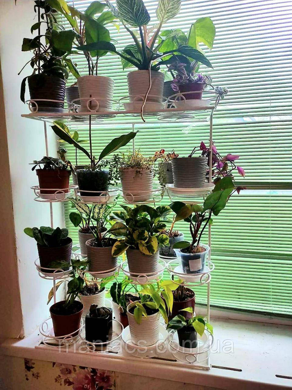 Підставка для квітів "ЛІза-5" на 24 чаши