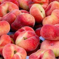 Персик інжирний Бельмандо