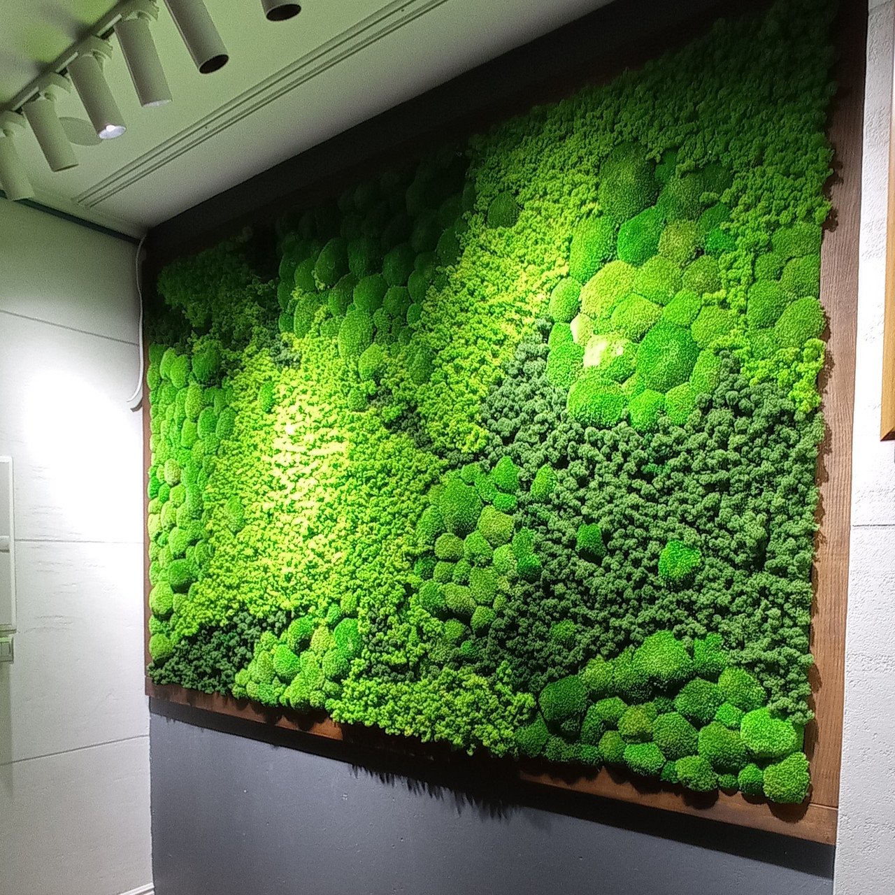 Озеленення стабілізованою мохом