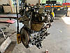 F4R813 Двигун Лагуна III, фото 6