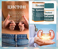 Цистон Хімалая Cystone Himalaya 60 таб Нирки Сечостатева система Аюрведичний препарат