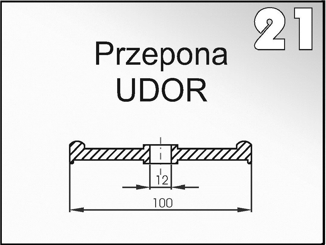 21 Мембрана (диафрагма) насоса опрыскивателя "UDOR" 100х12 - фото 2 - id-p416235835