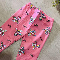 Лосини для дівчат оптом, S&D, 1-5 років, № CH-6718, фото 5