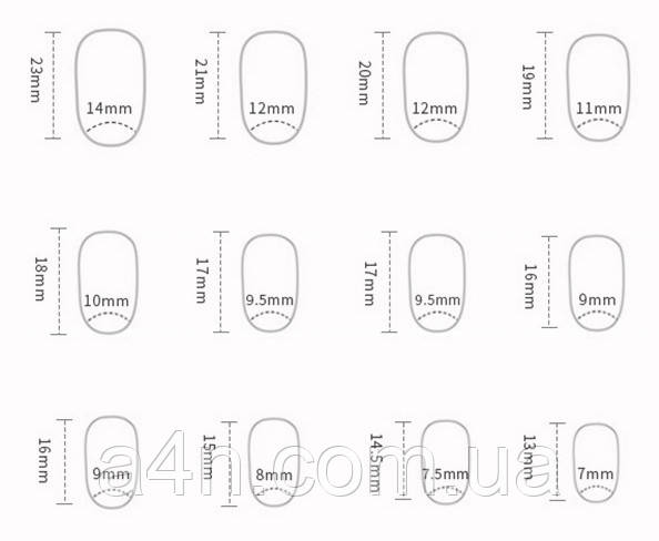 Накладні нігті - Інтернет-магазин A4N Розміри накладних нігтів