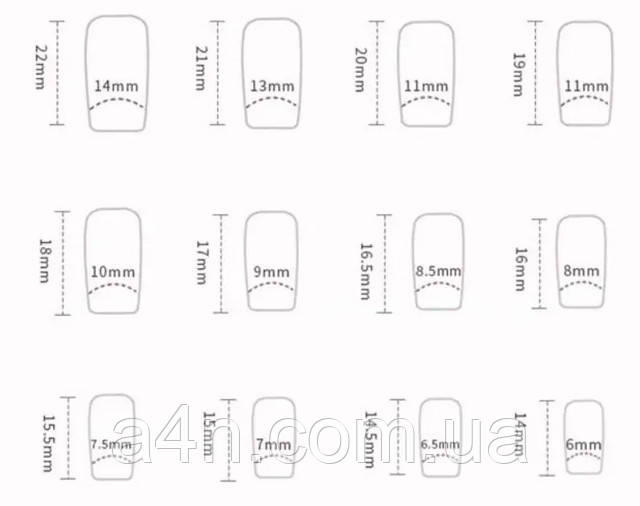 Розміри накладних нігтів