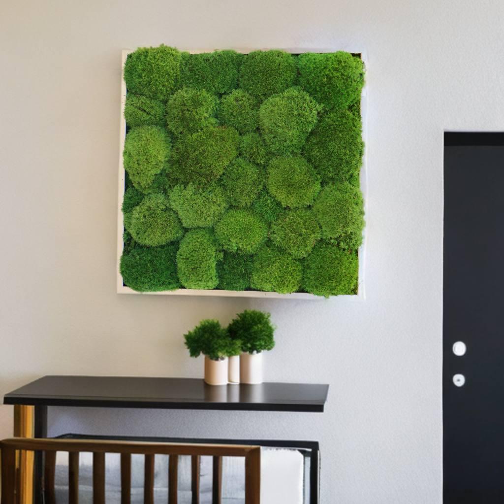 Мохове панно 50*50 см