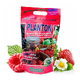 Добриво Planton для полуниці, малини та плодових культур (Плантон, 1 кг гранул), Польща, фото 4