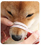 Намордник для собак пластиковий, фото 2