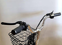 Електричний велосипед MINAKO light bike колхознік (18Ah 60V 600W ) 2024, фото 6