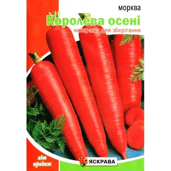 Насіння моркви Королева Осенi, Яскрава, 20г (Насіння моркви), фото 1